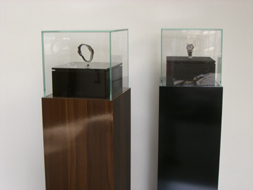 Schaukasten